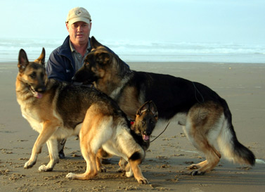 Stu on the Beach - Find Tigger