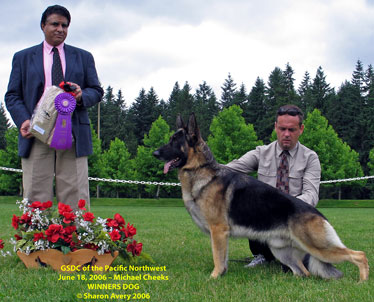 Winners Dog Everett WA 2006
